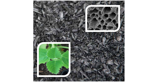 From Ag Waste to Biochar