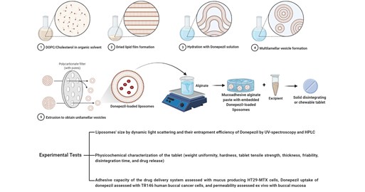 Developing donepezil-loaded liposome nanoparticles for enhanced oral mucosal drug delivery